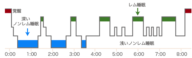 一晩の睡眠の深さを表した図